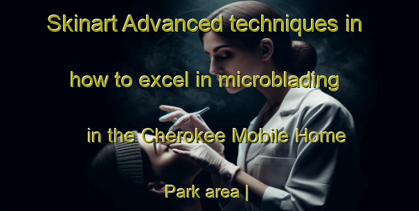 Skinart Advanced techniques in how to excel in microblading in the Cherokee Mobile Home Park area | MicrobladingTraining | MicrobladingClasses | SkinartTraining-United States